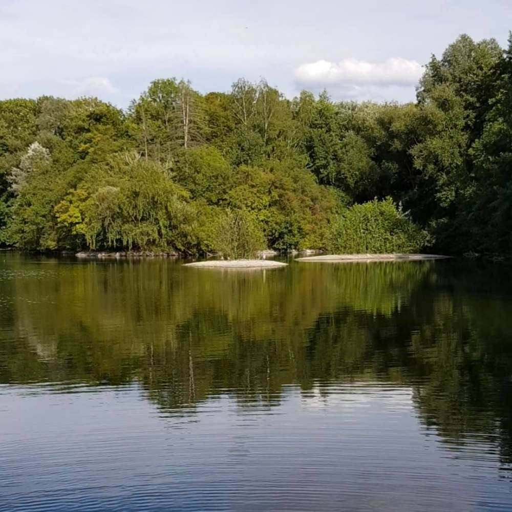 Hundetreffen-Socialwalk (Gassirunden in Umgebung Moers oder Mülheim)-Profilbild