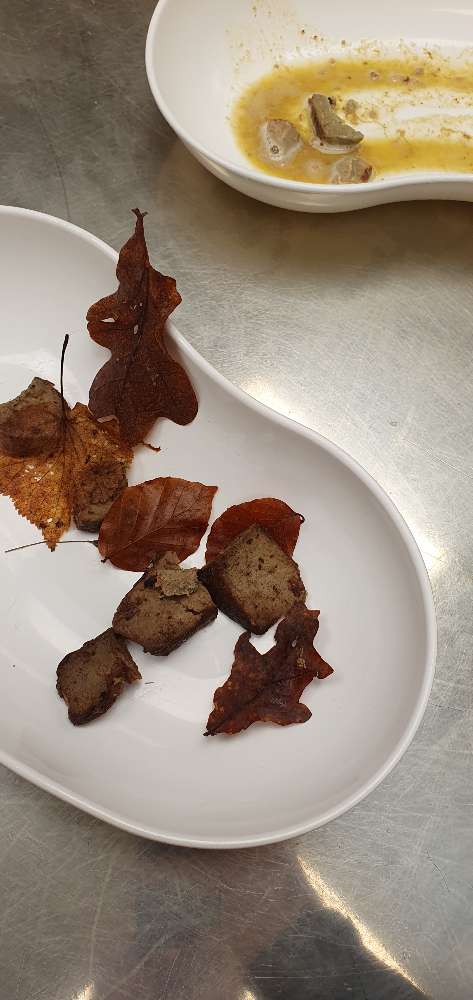 Giftköder-Verdacht auf Giftköder-Profilbild