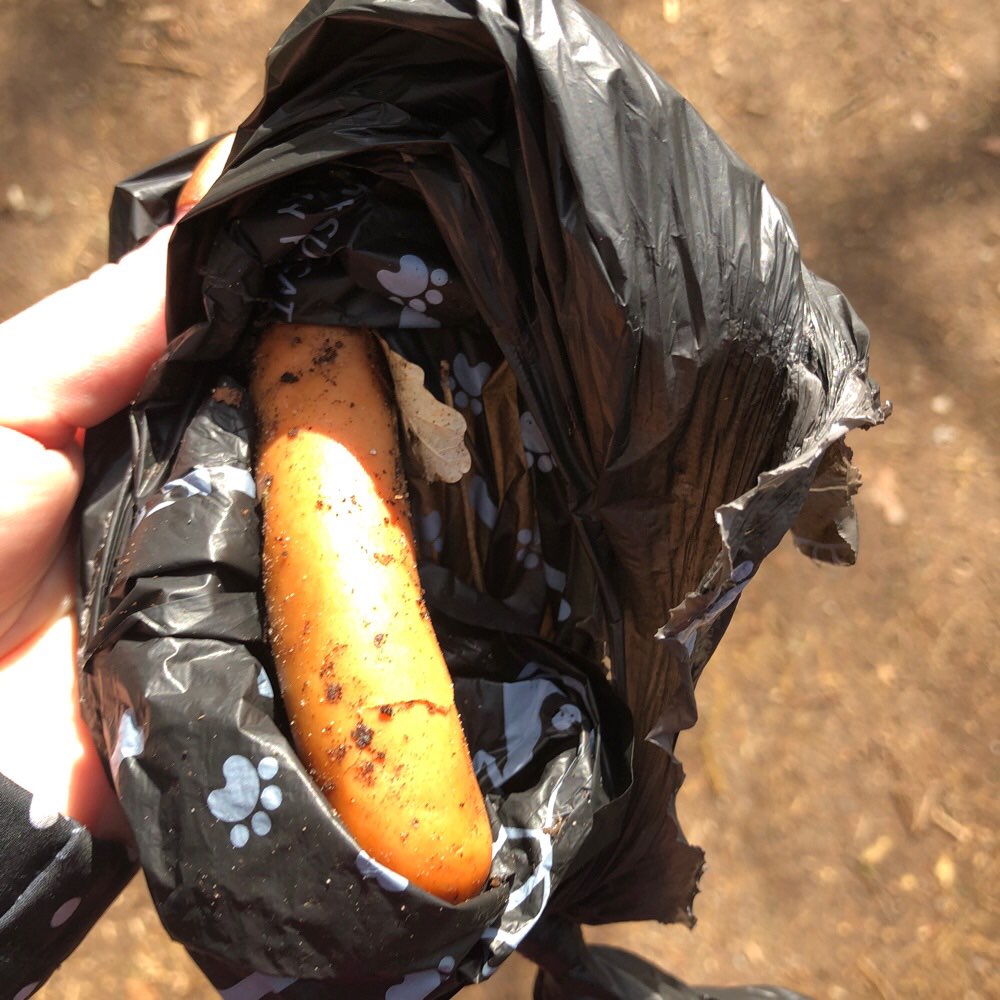 Giftköder-Wurst zwischen Weg und Sportplatz-Profilbild