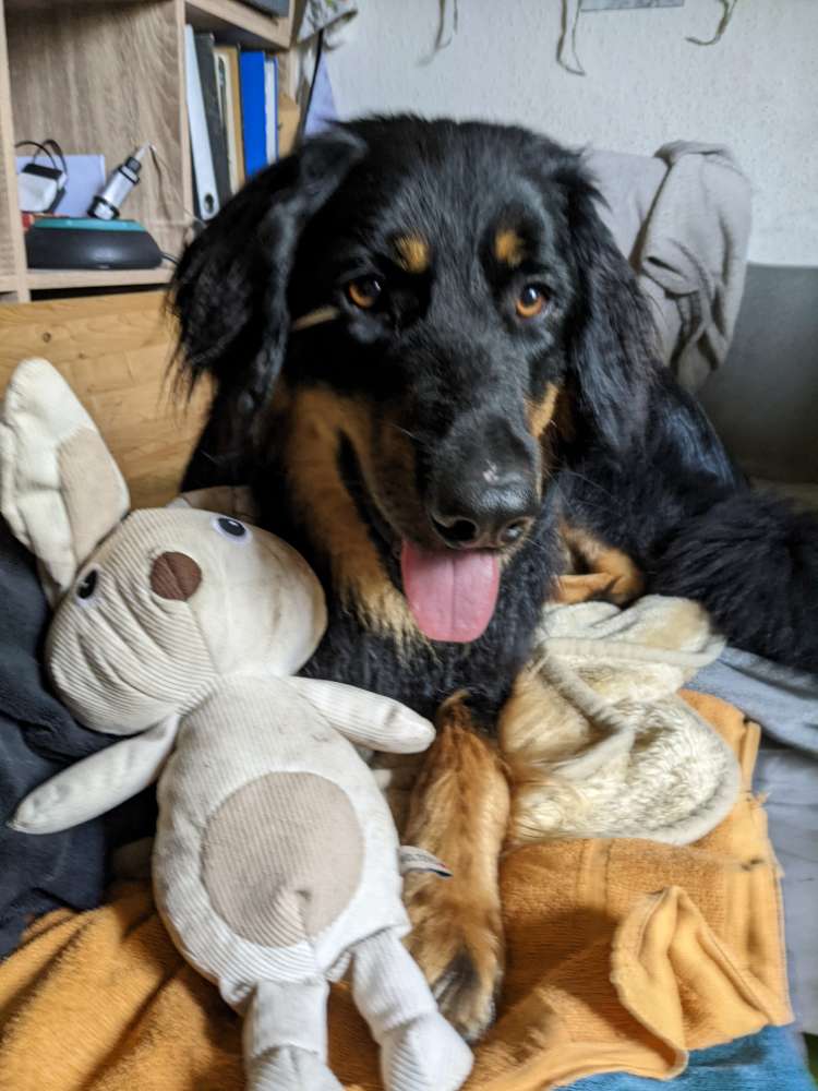 Das schönste Lächeln 😊 Banner