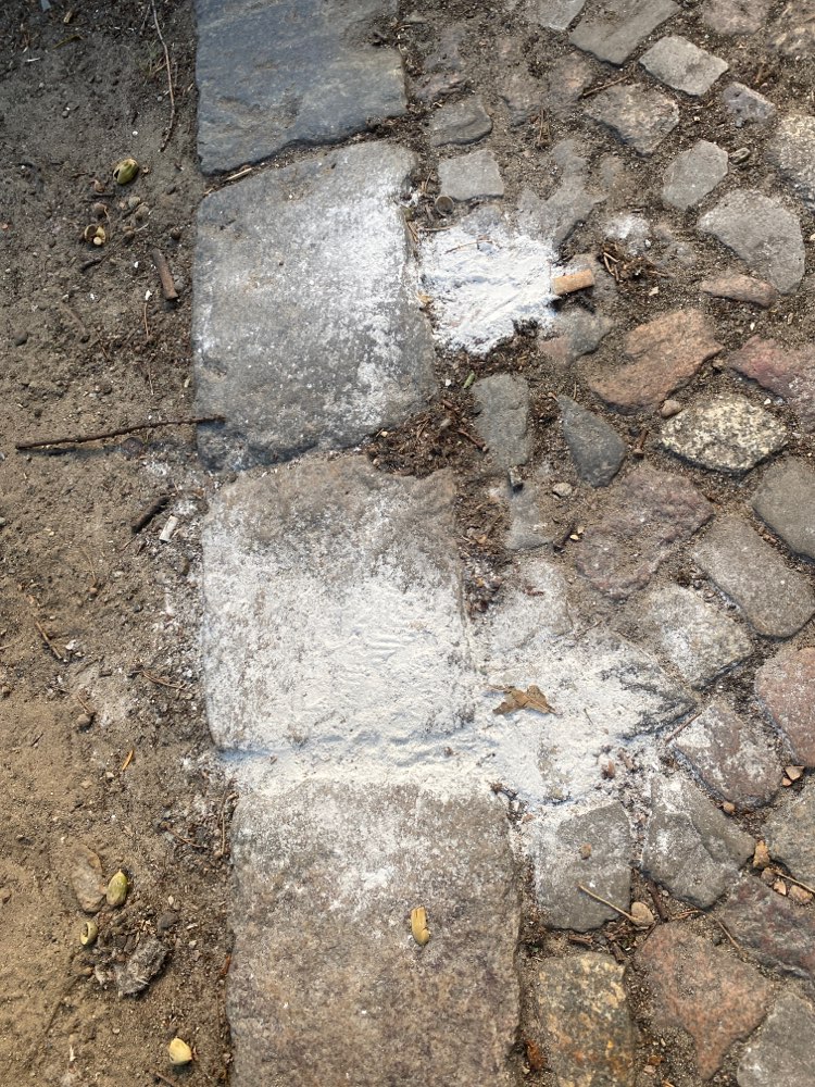 Giftköder-Weißes Pulver-Profilbild