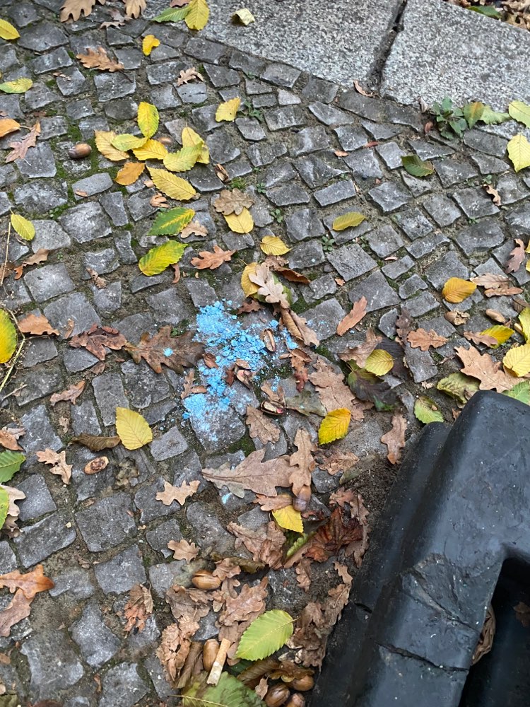 Giftköder-Hellblaues Pulver-Profilbild