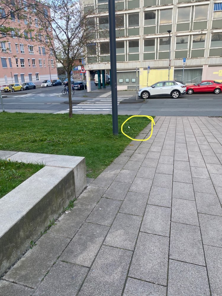 Giftköder-Ausgelegte Spritzen-Profilbild