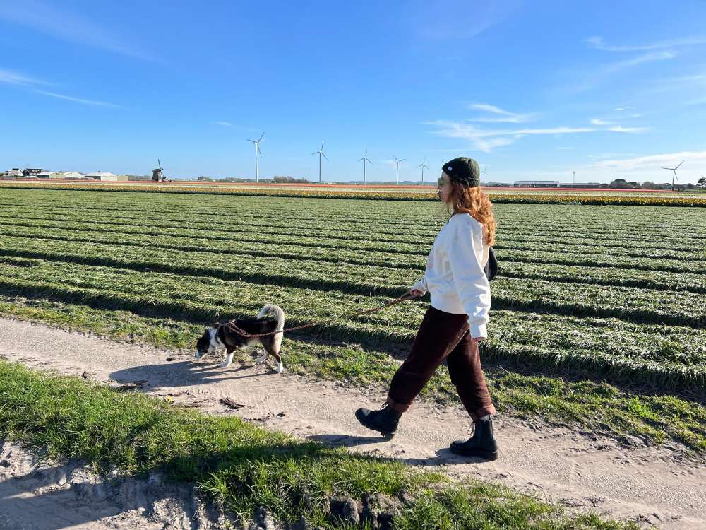 Hundetreffen-Social Walks-Profilbild