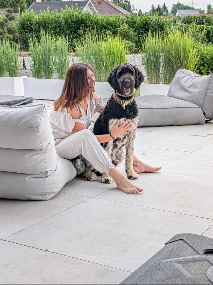 Hundetreffen-Sozial Walk-Profilbild