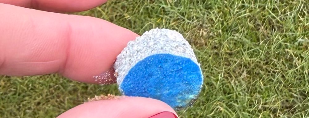 Giftköder-Ratten-/ Mäuseköder-Profilbild