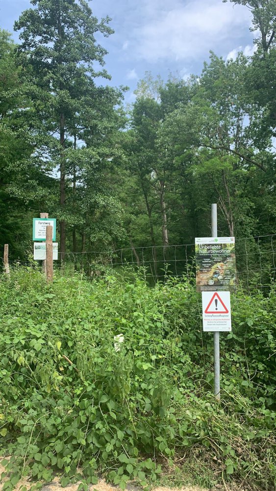 Giftköder-Eichenprozessionsspinner in Liblar-Profilbild
