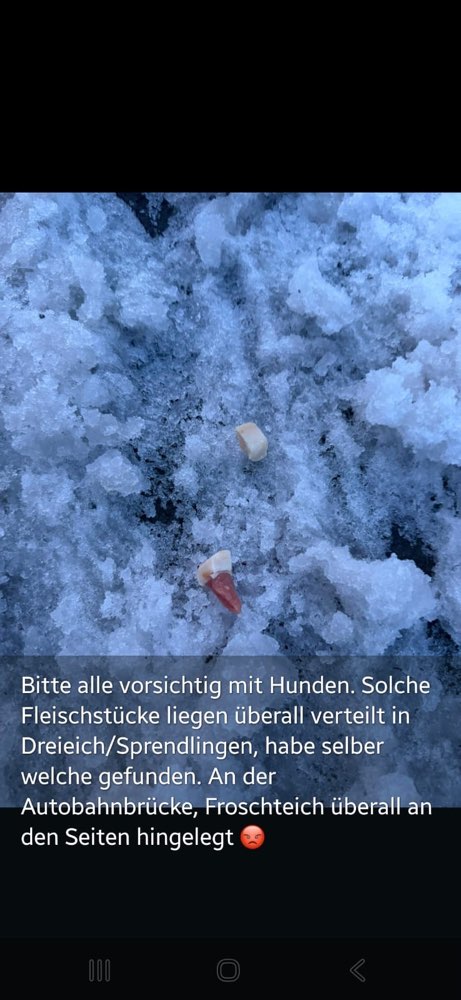 Giftköder-Giftköder (Speckwürfel) in Dreieich-Profilbild