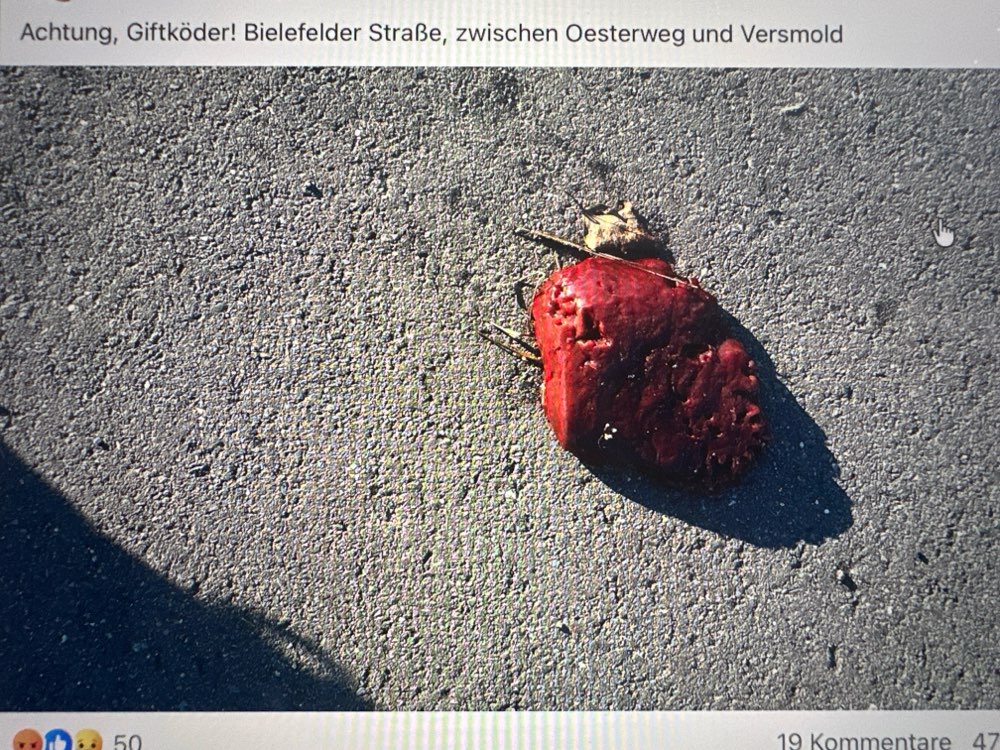 Giftköder-Giftköder-Profilbild