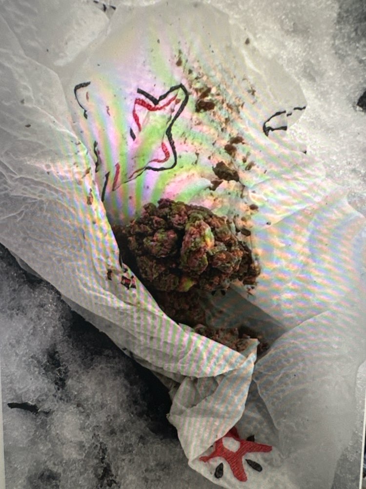 Giftköder-Verdacht auf Giftköder-Profilbild