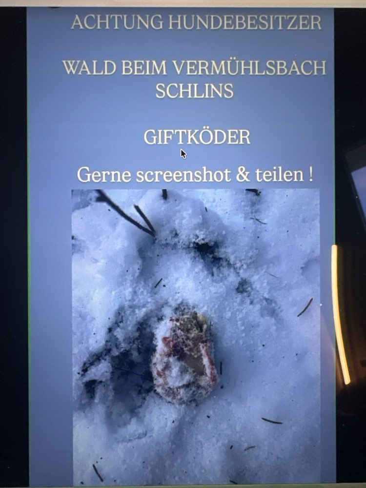 Giftköder-Giftköder-Profilbild