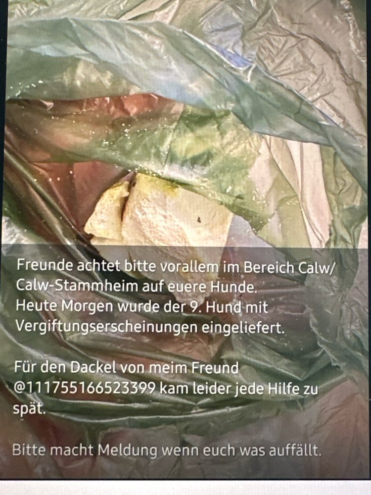 Giftköder-Giftköder-Profilbild
