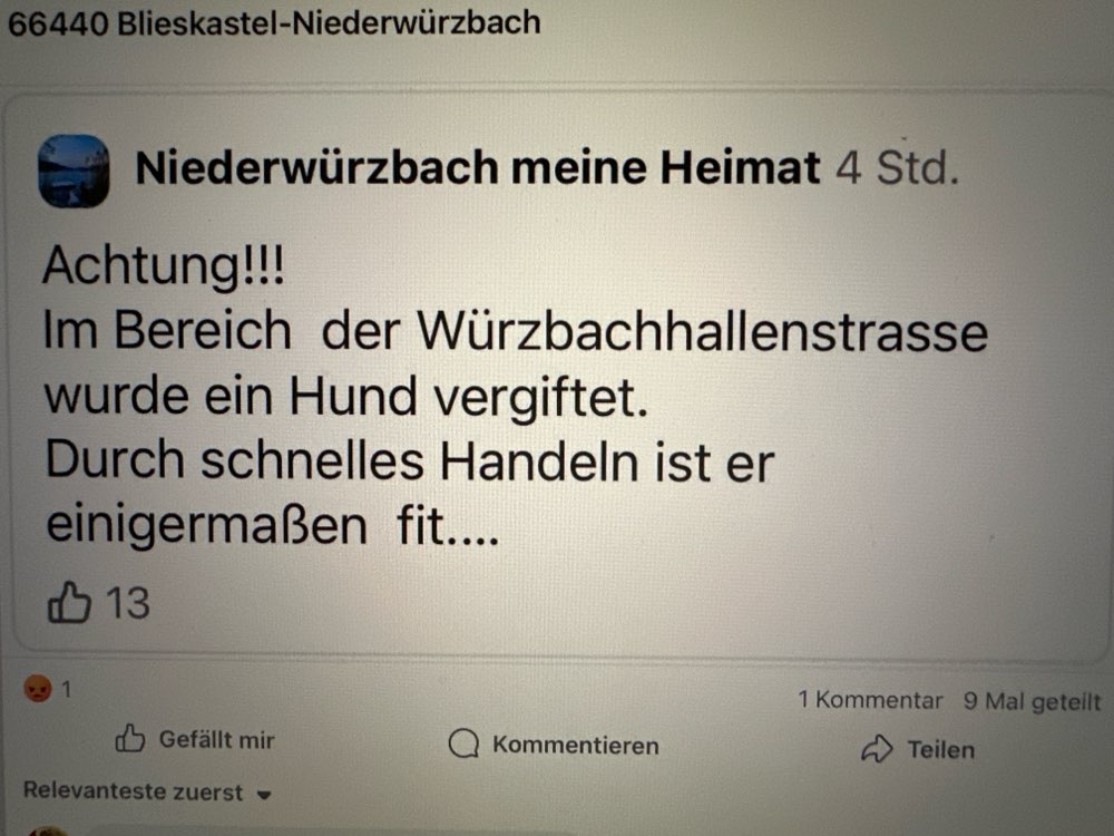 Giftköder-Giftköder-Profilbild