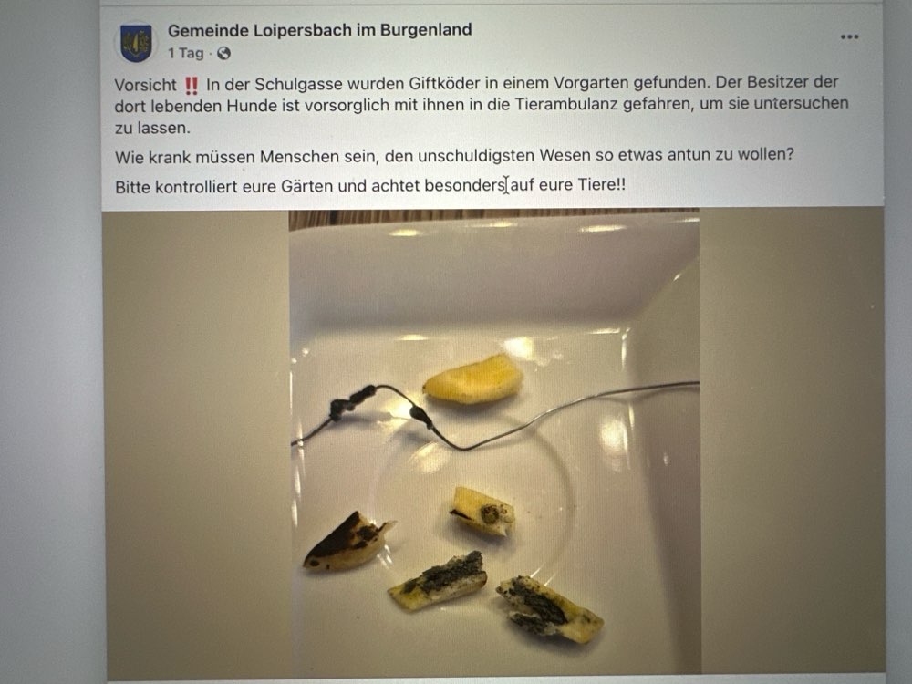 Giftköder-Giftköder in Vorgarten-Profilbild