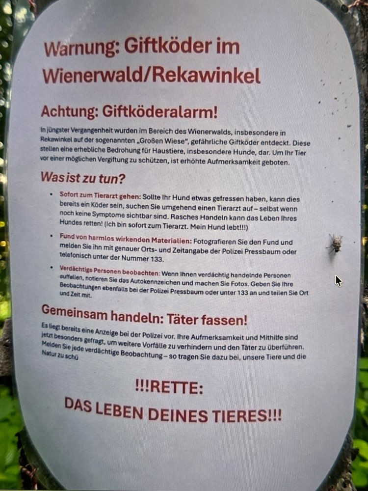 Giftköder-Giftköder-Profilbild
