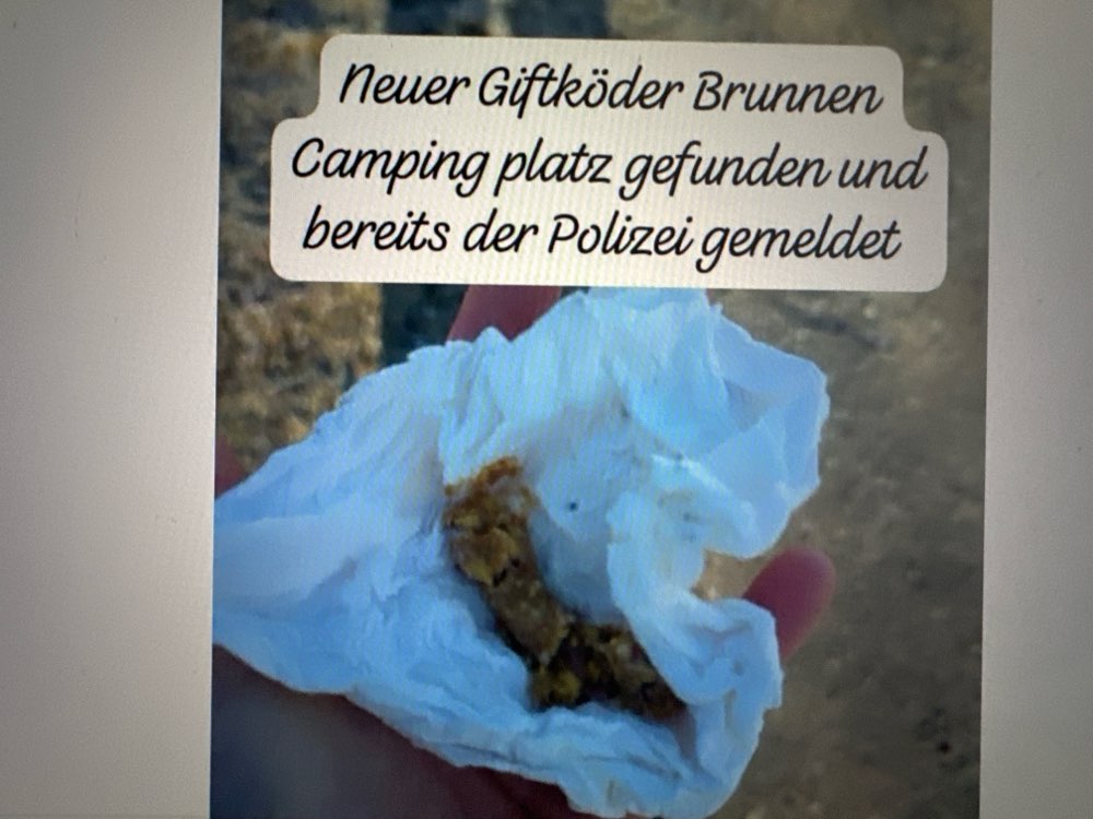 Giftköder-Giftköder-Profilbild