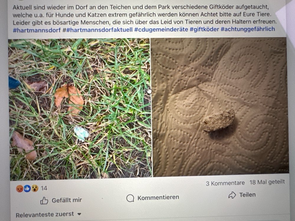 Giftköder-Möglicher Giftköder-Profilbild