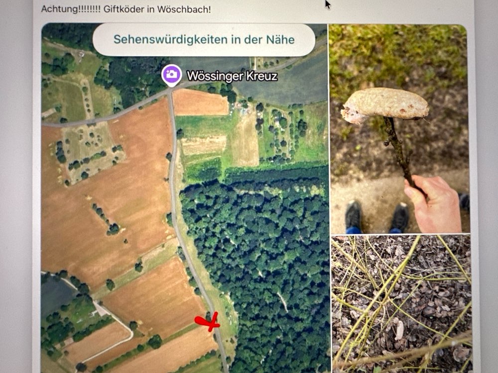 Giftköder-Vermutlich Giftköder-Profilbild