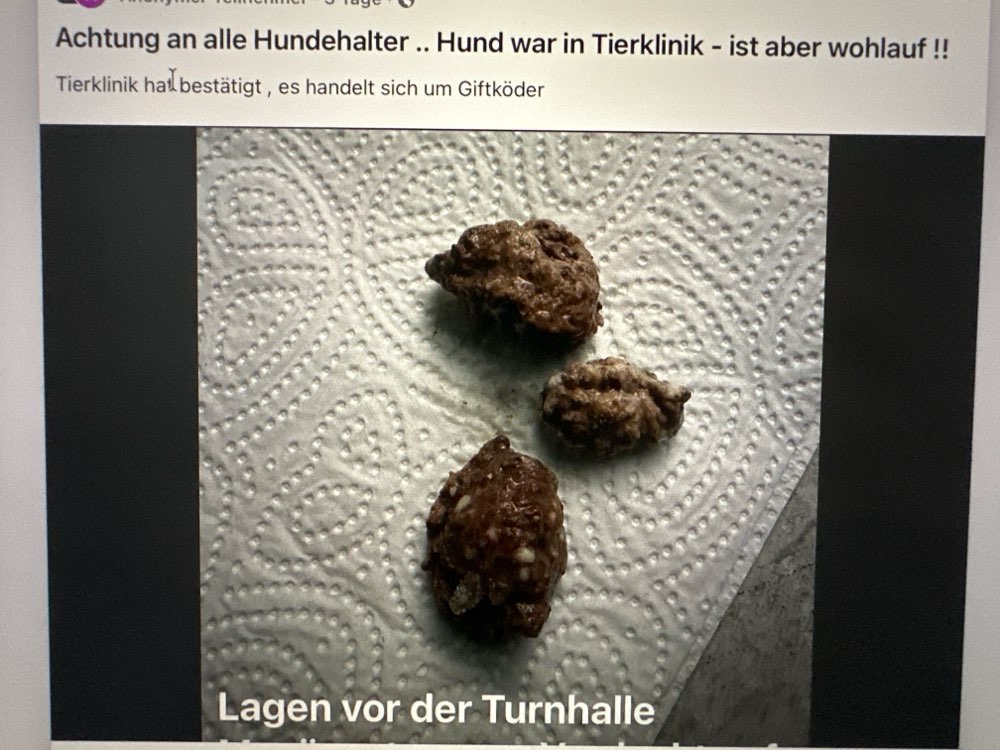 Giftköder-Giftköder-Profilbild