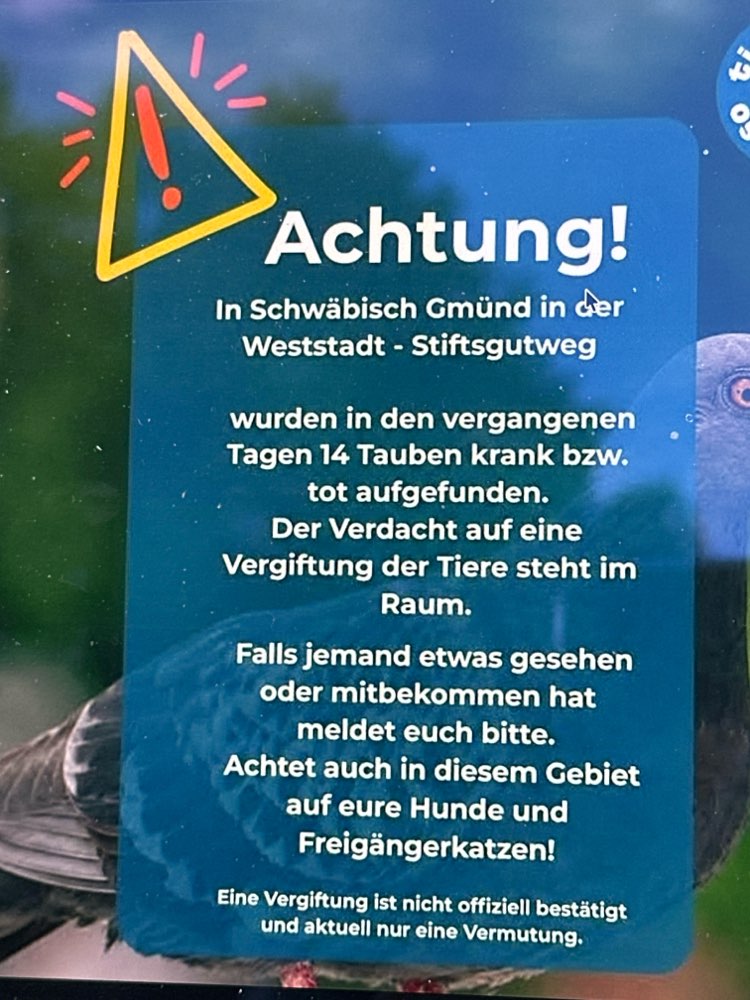 Giftköder-Giftköderverdacht-Profilbild