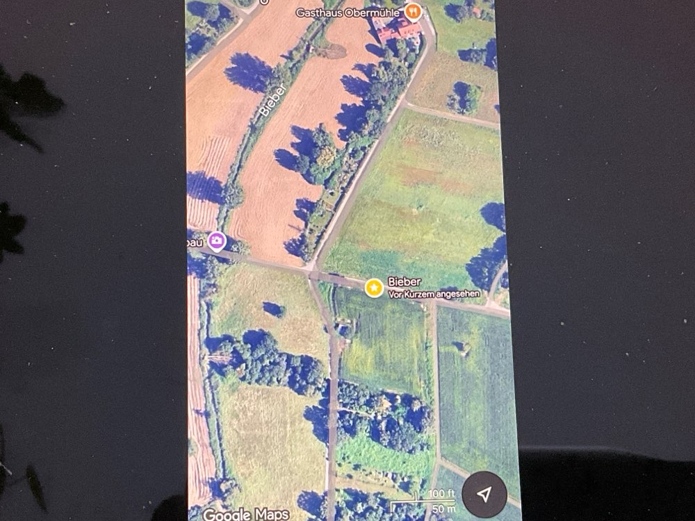 Giftköder-Giftköder-Profilbild