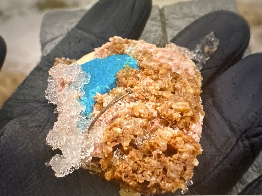 Giftköder-Giftköder-Profilbild