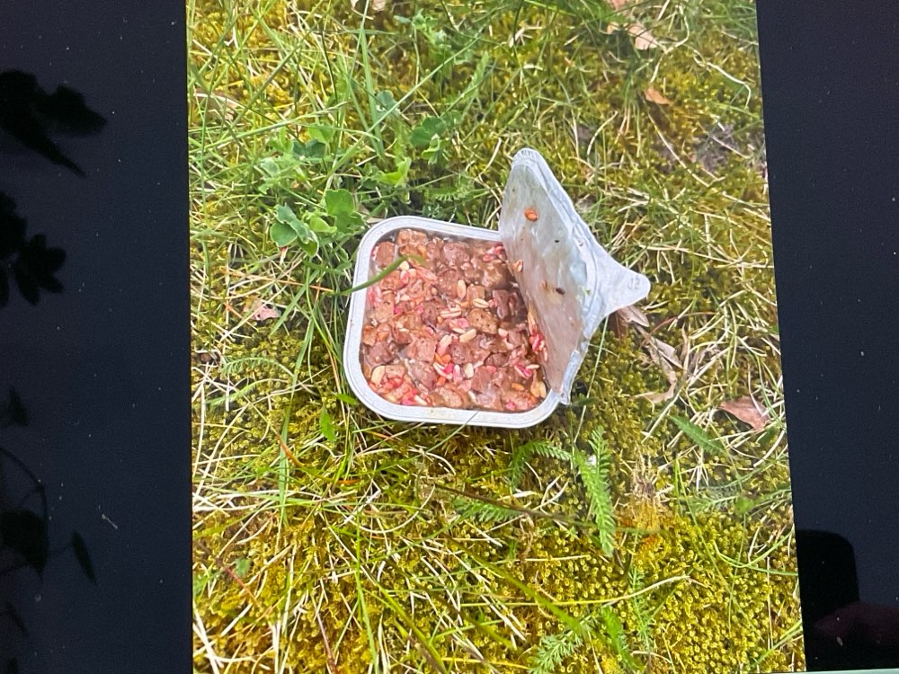 Giftköder-Giftköder-Profilbild