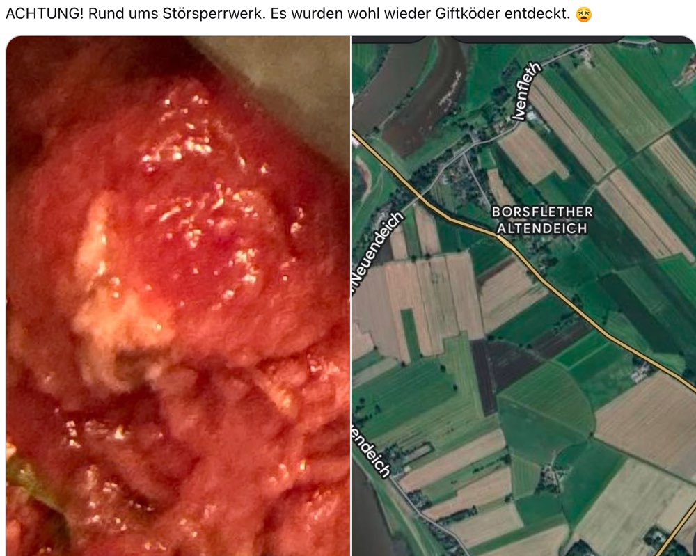 Giftköder-Giftköder-Profilbild