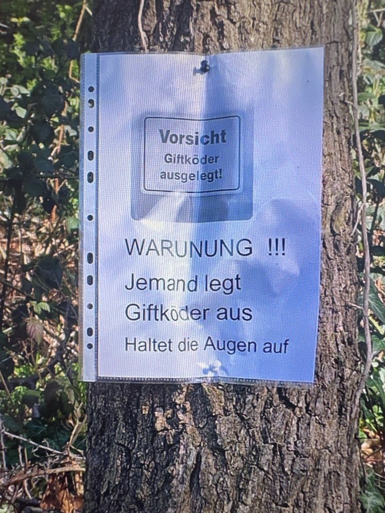 Giftköder-Giftköder-Profilbild