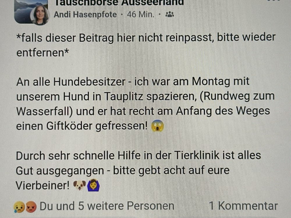 Giftköder-Giftköder-Profilbild