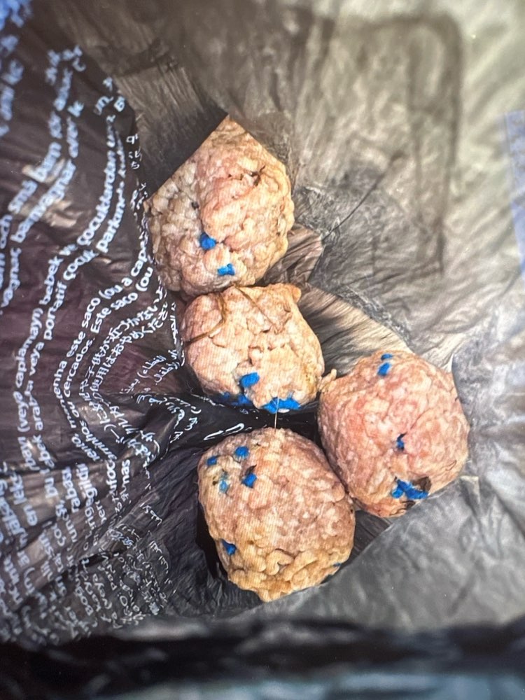 Giftköder-Giftköder-Profilbild