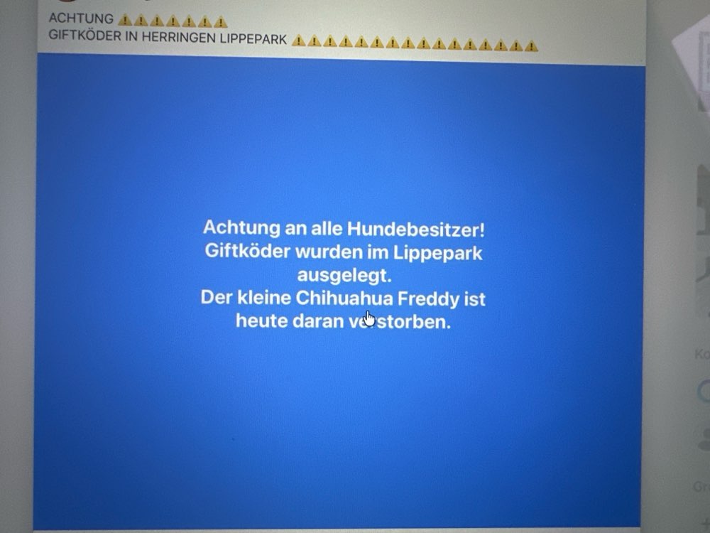 Giftköder-Giftköder-Profilbild