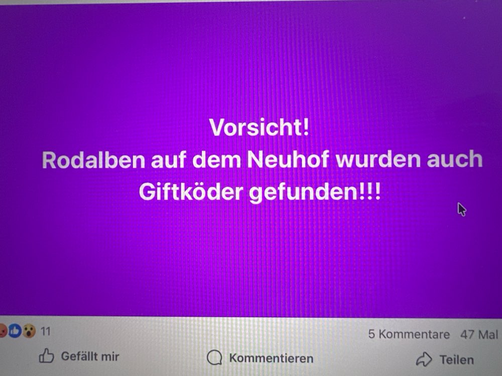 Giftköder-Giftköder-Profilbild