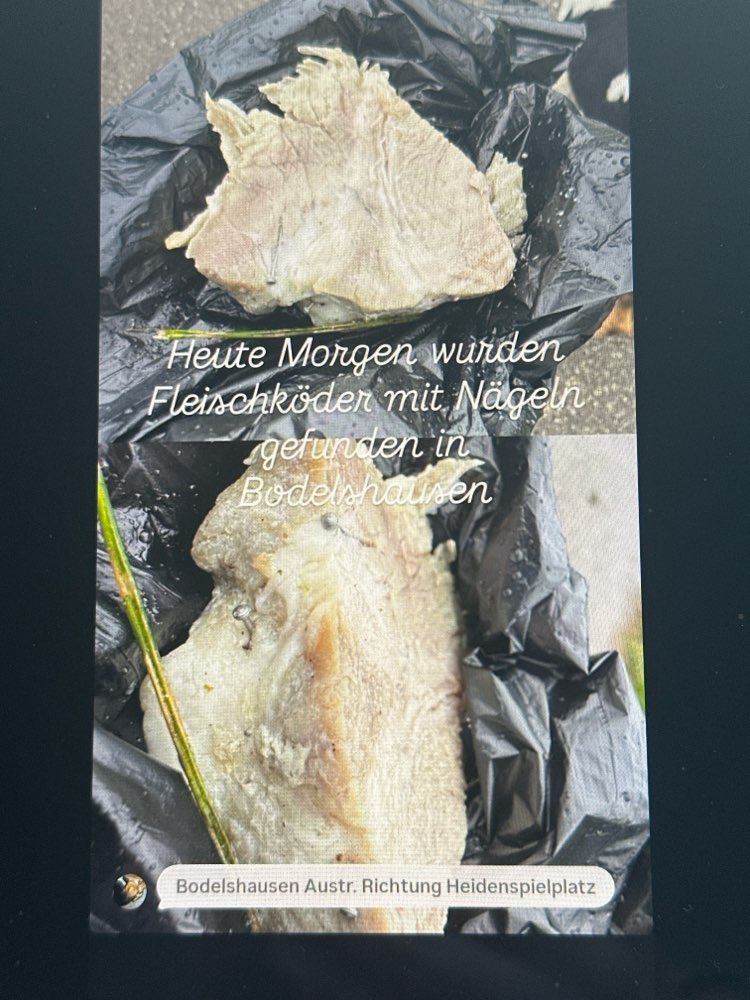 Giftköder-Giftköder-Profilbild