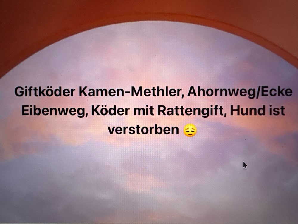 Giftköder-Giftköder-Profilbild