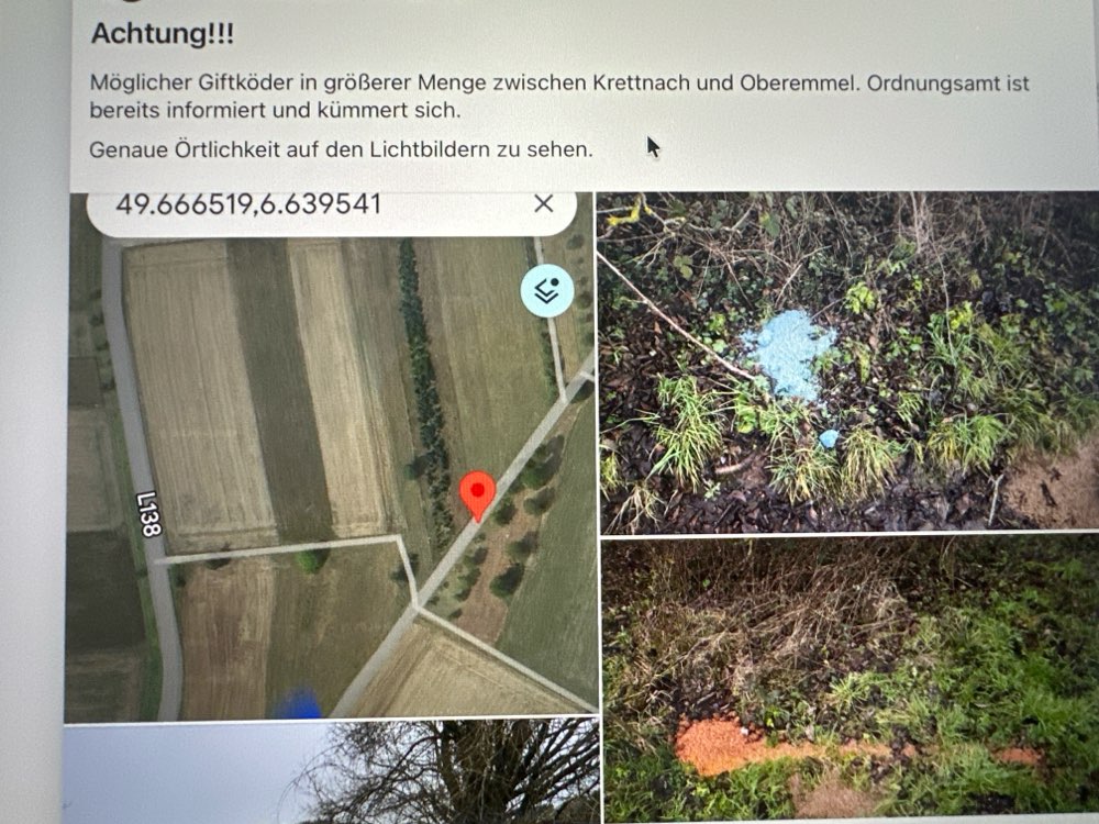 Giftköder-Giftköder-Profilbild