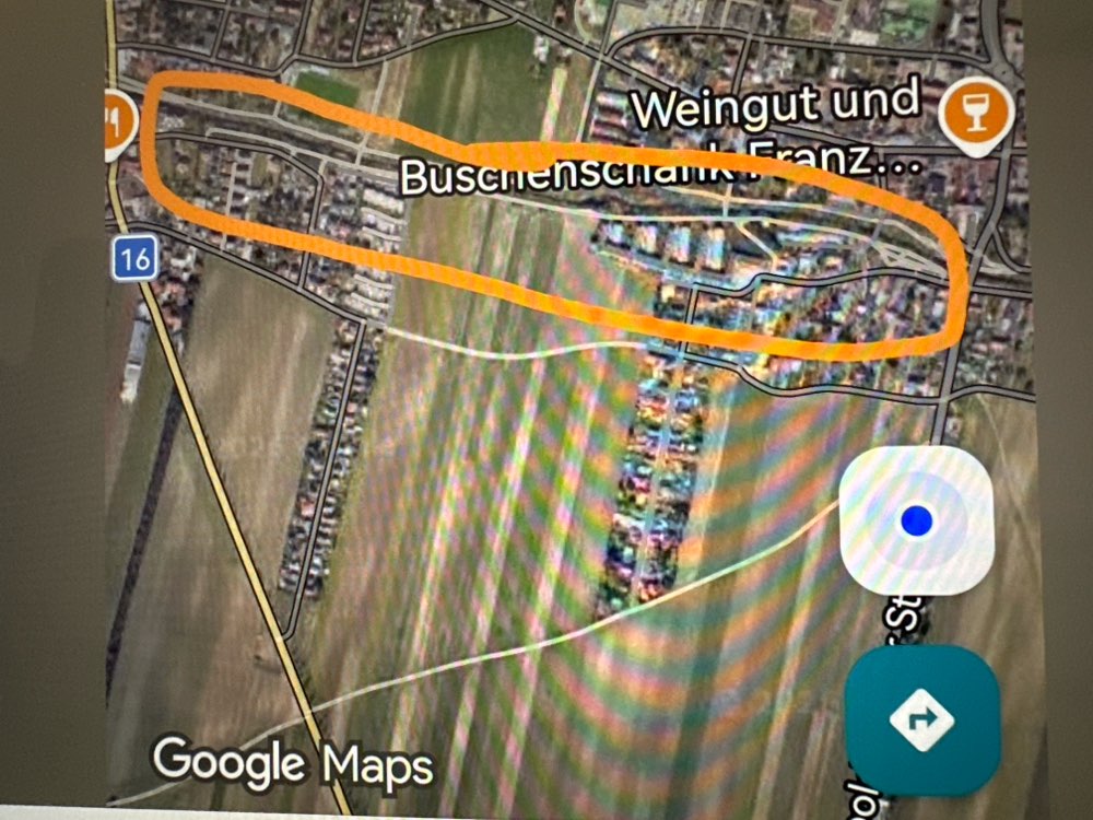 Giftköder-Giftköder-Profilbild