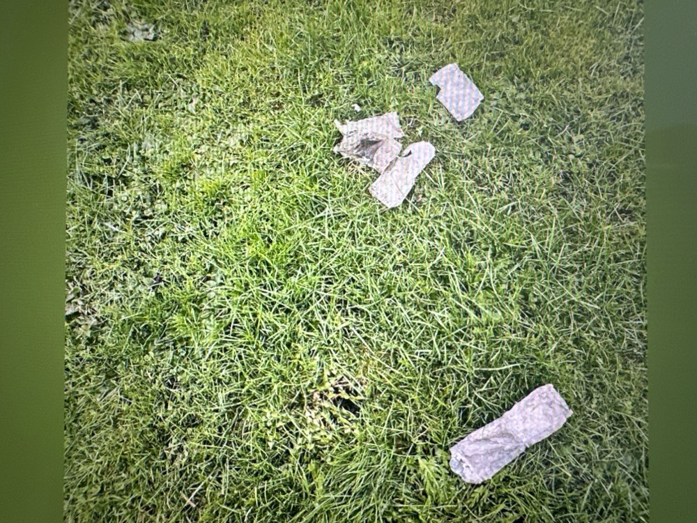 Giftköder-Giftköder-Profilbild