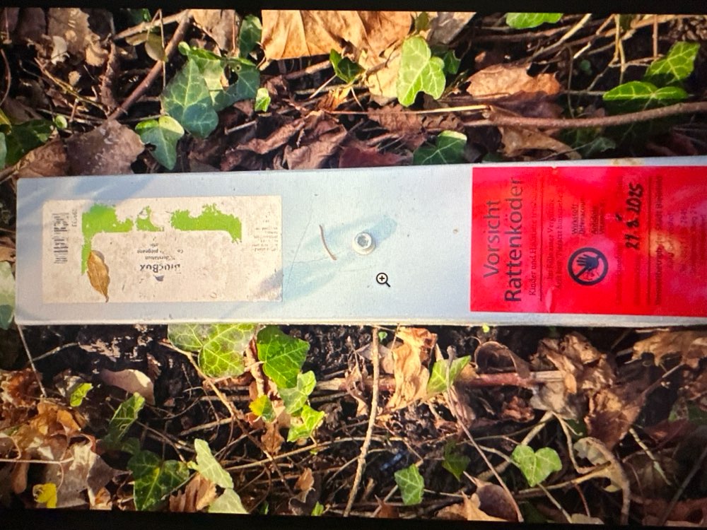 Giftköder-Rattenköder-Profilbild