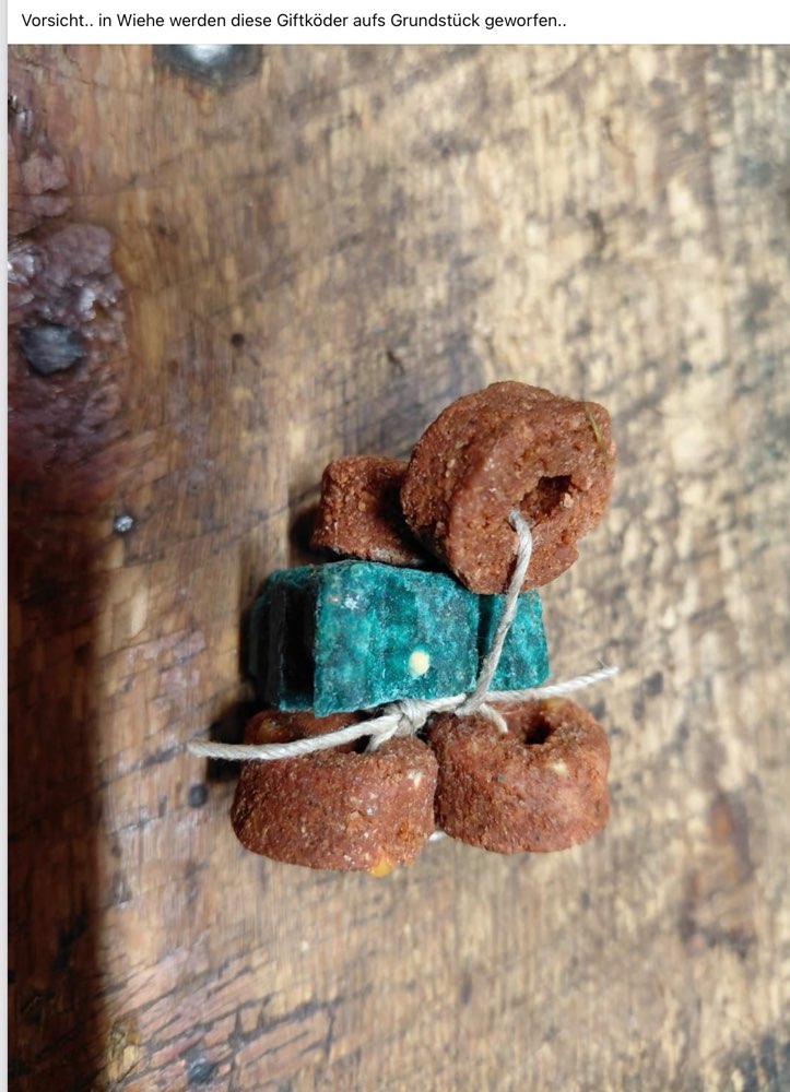 Giftköder-Giftköder-Profilbild