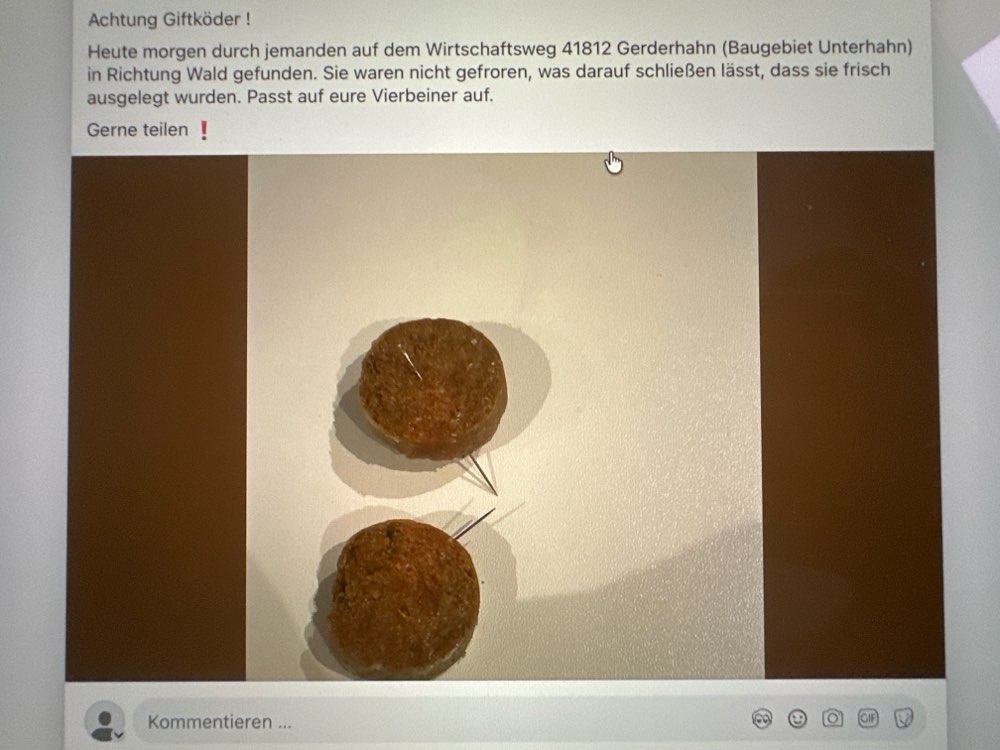 Giftköder-Giftköder-Profilbild