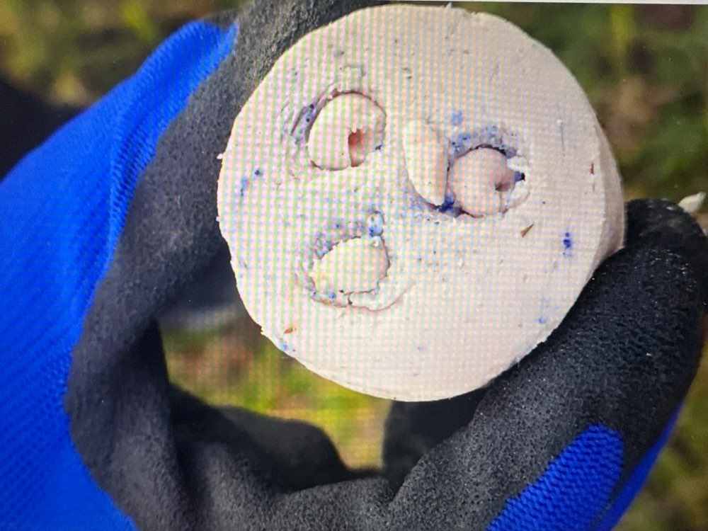 Giftköder-Giftköder-Profilbild