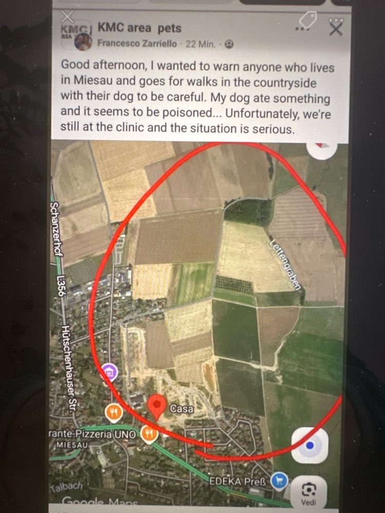 Giftköder-Möglicher Giftköder-Profilbild