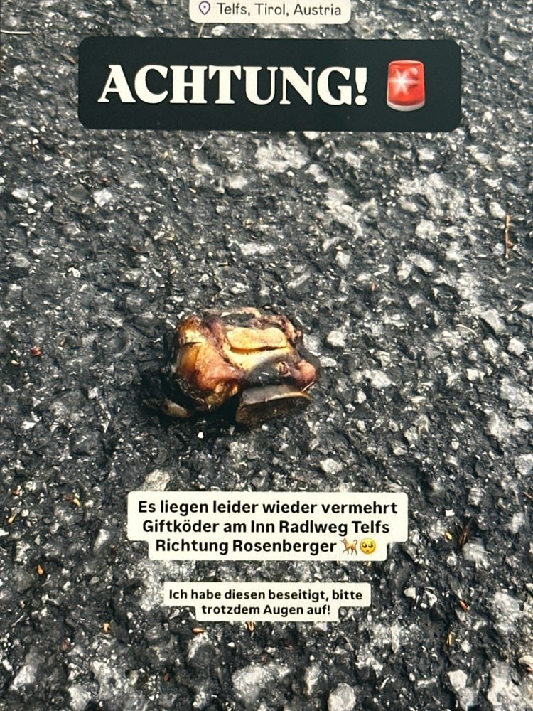Giftköder-Giftköderverdacht-Profilbild