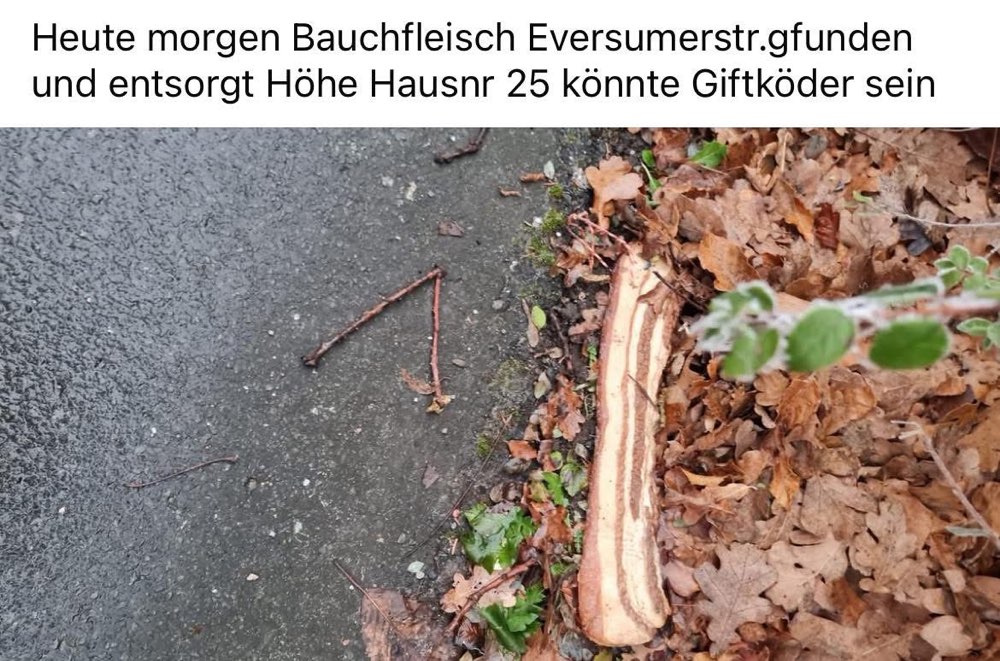 Giftköder-Giftköder-Profilbild