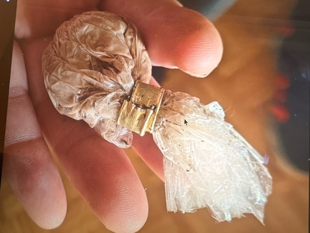 Giftköder-Giftköder-Profilbild