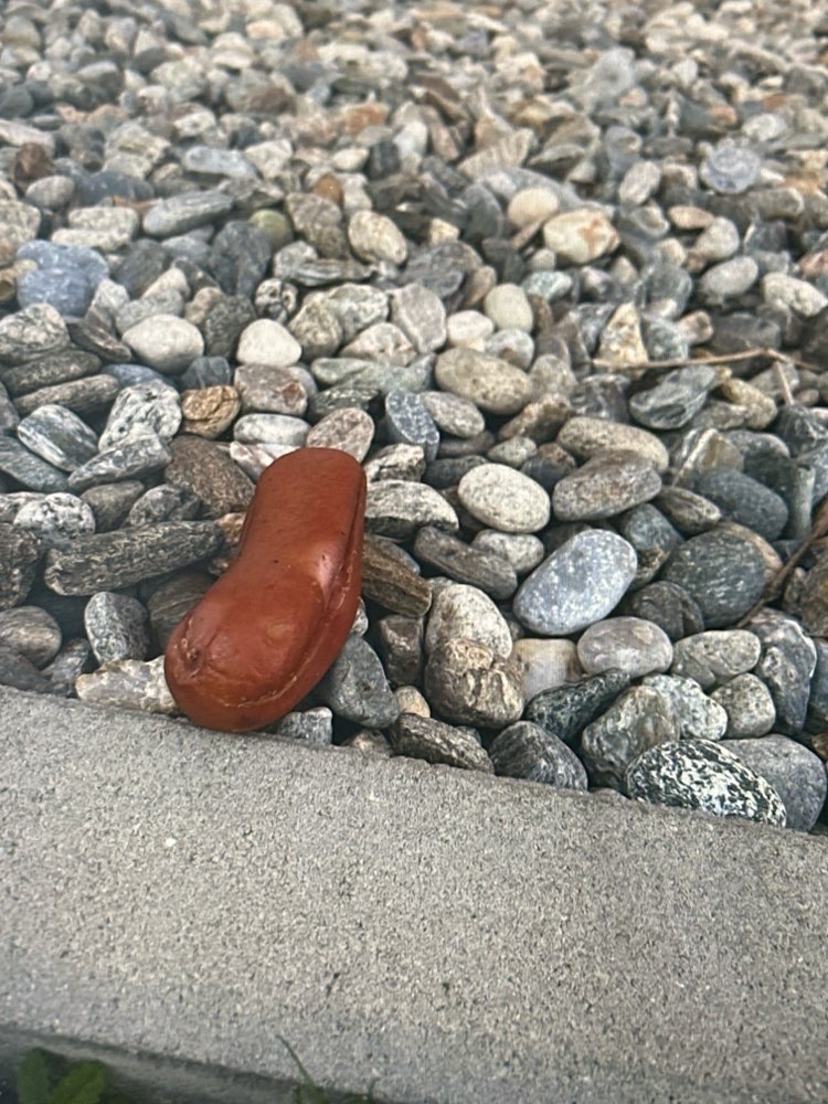 Giftköder-Giftköderverdacht-Profilbild