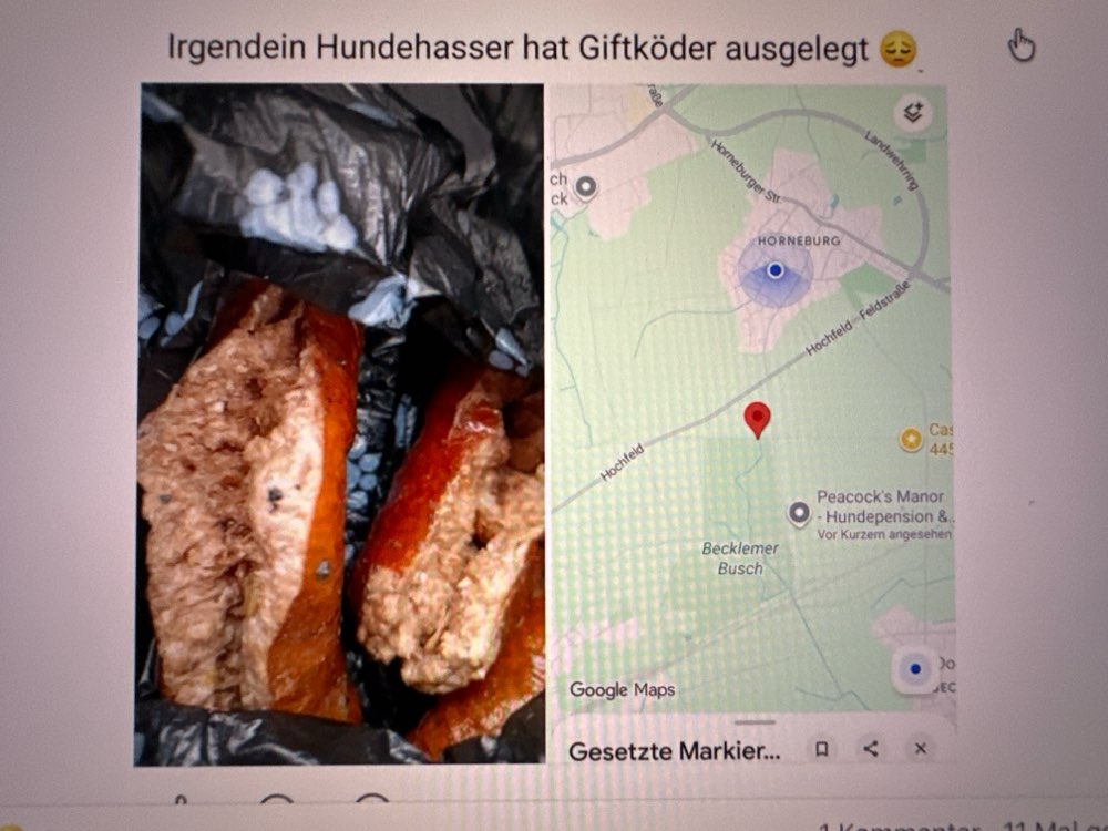 Giftköder-Giftköder-Profilbild