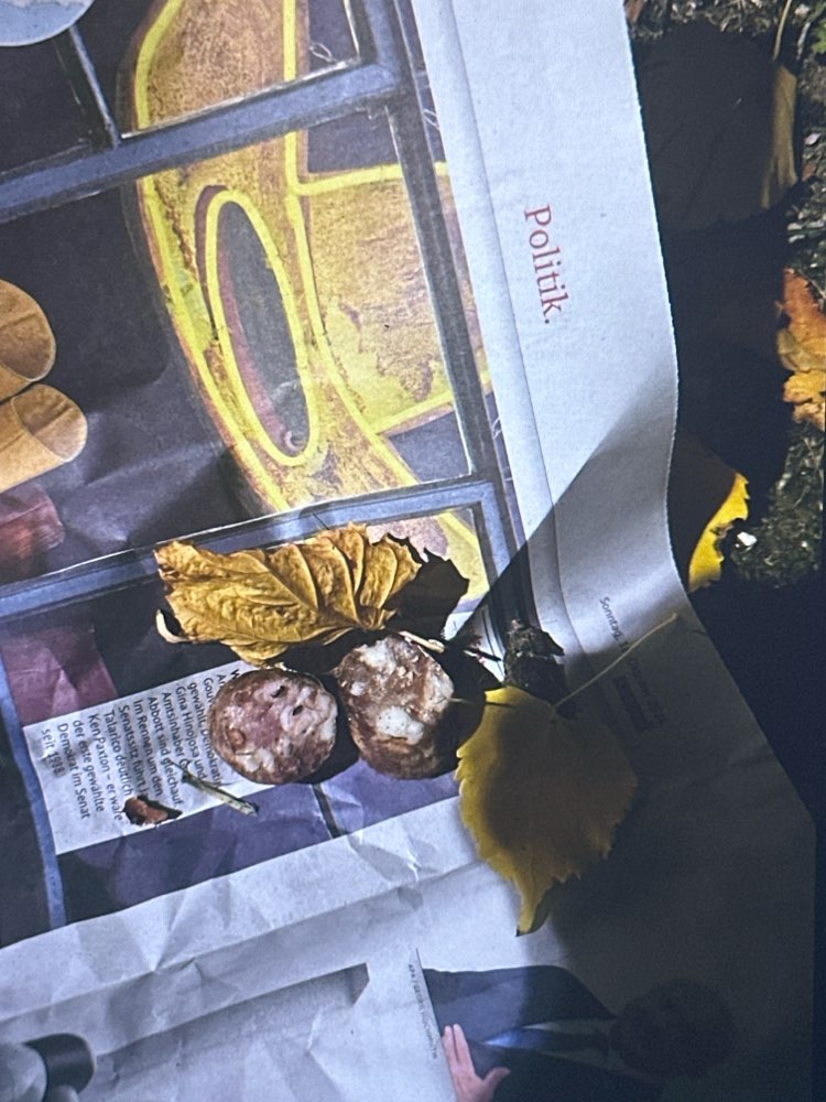 Giftköder-Giftköderverdacht-Profilbild