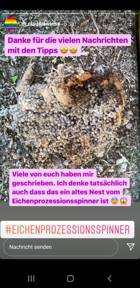 Giftköder-Rattengift-Profilbild